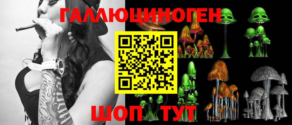 Псилоцибиновые грибы Cubensis  Вход с VPN  Ачхой-Мартан 